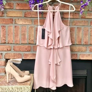🔥NWT BCBGMaxAzria Pale Pink Ruffle Dress